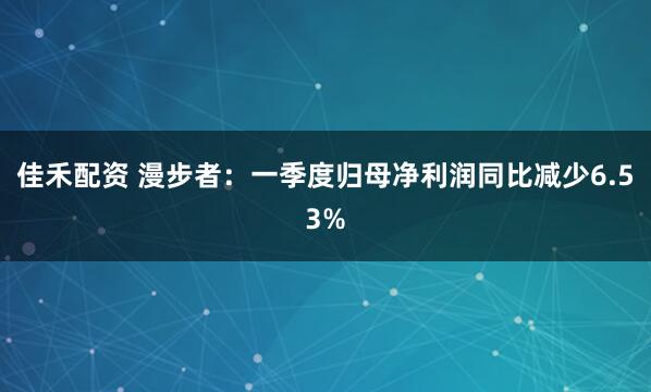 佳禾配资 漫步者：一季度归母净利润同比减少6.53%