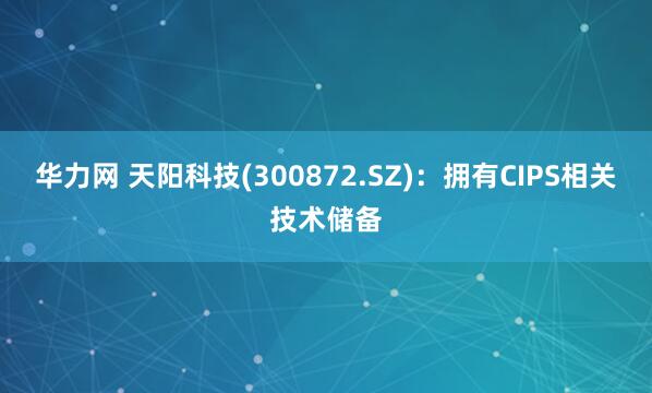 华力网 天阳科技(300872.SZ)：拥有CIPS相关技术储备