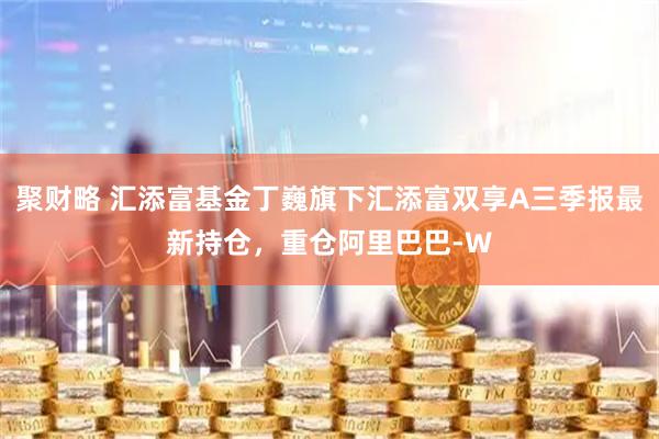 聚财略 汇添富基金丁巍旗下汇添富双享A三季报最新持仓，重仓阿里巴巴-W