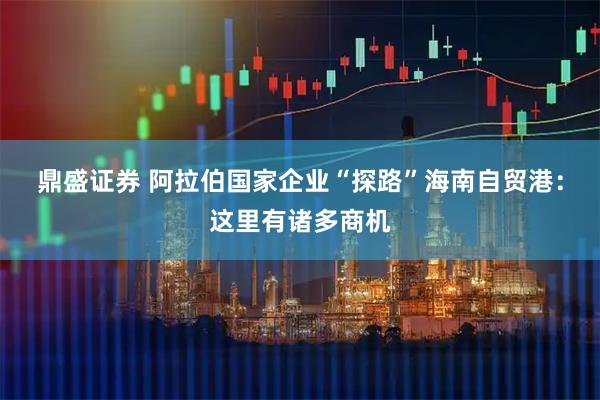 鼎盛证券 阿拉伯国家企业“探路”海南自贸港：这里有诸多商机