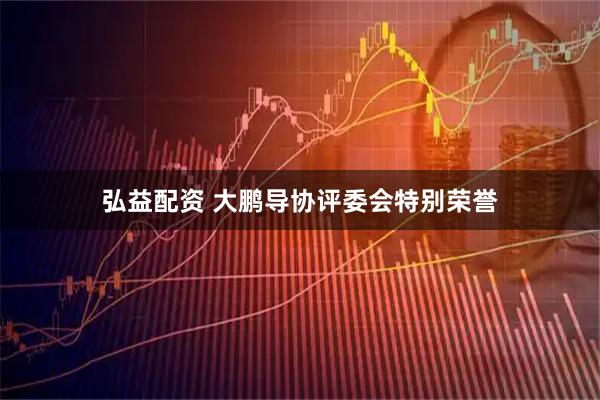 弘益配资 大鹏导协评委会特别荣誉